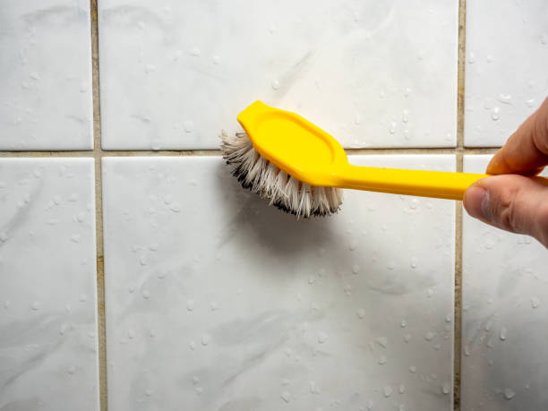 Best Water Damage Restoration  in Quantico Base, VA