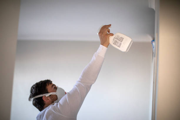 Best Commercial Mold Removal  in Quantico Base, VA