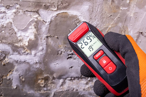 Best Mold Remediation  in Quantico Base, VA