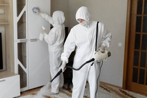 Best Mold Removal Near Me  in Quantico Base, VA