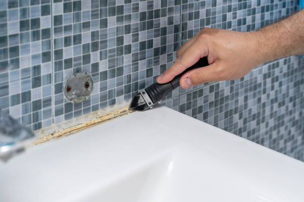 Best Toxic Mold Removal  in Quantico Base, VA