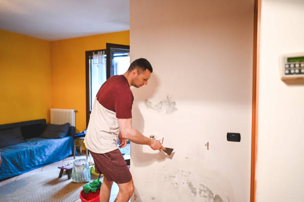 Best Mold Removal Near Me  in Quantico Base, VA